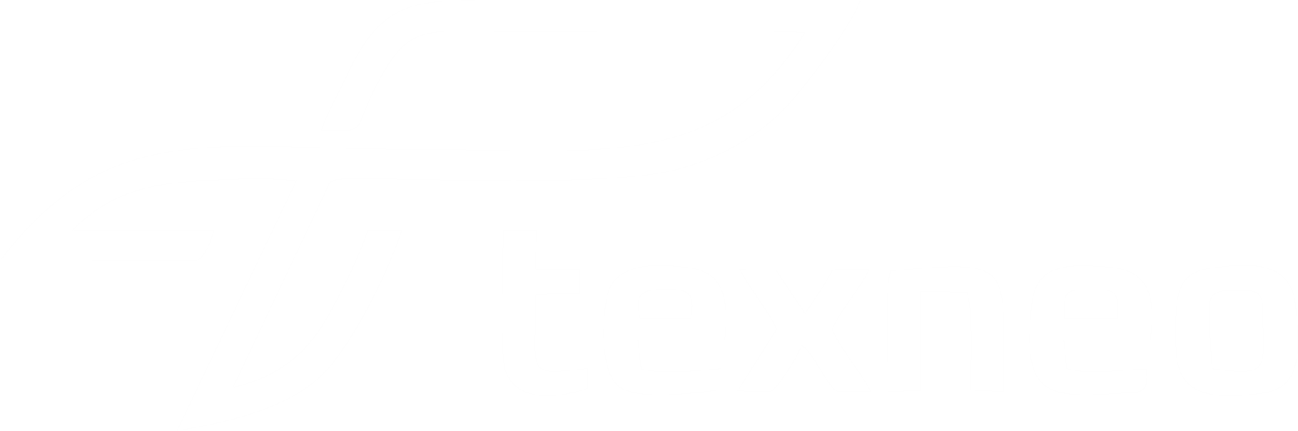 Texneo